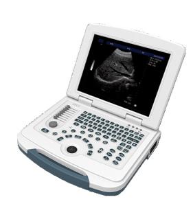 China Multilingual USB Port Color Doppler Ultrasound Scanner wholesale