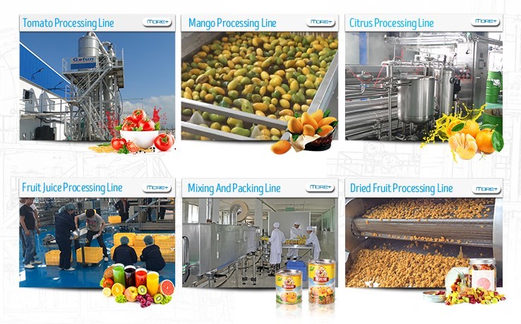 Ss304 UHT Sterilizer Machine Complete Fruit Jam Paste Processing Line