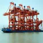 Receiving and Unloading Device for Bulk Carrier Ship Unloader