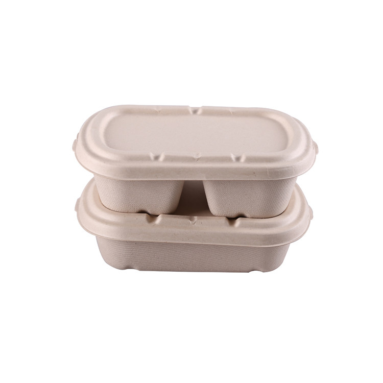 Biodegradable Paper Pulp Lunch Container, Sugarcane Bagasse Food Container, Disposable Tableware