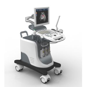 China Full Digital Trolley 4D Echo Ultrasound Machine For Gynecology wholesale