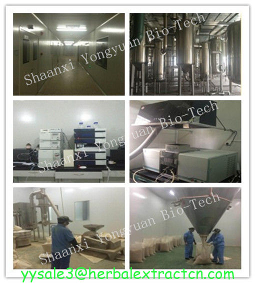 Red Clover Extract, soflavones 2.5% 8% 20% 40% HPLC, Chinese exporter with high quality, sShaanxi Yongyuan Bio-Tech
