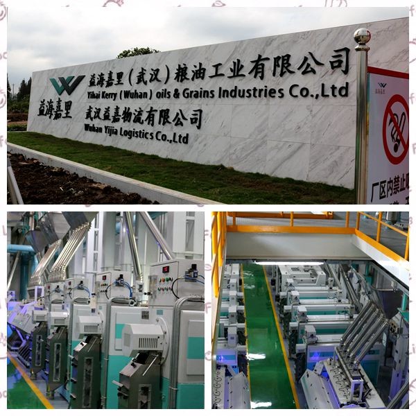 Small Capacity 0.6T 0.75kw Rice Grader System