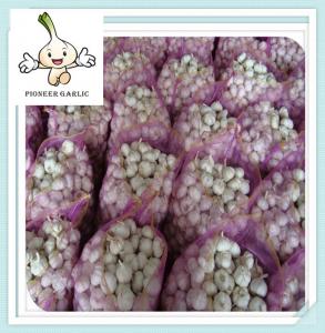 China Fresh Normal White Garlic Fresh Garlic New fresh chinese white garlic wholesale