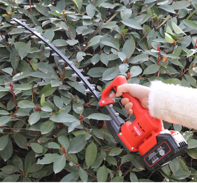 Electric Double Blade Cordless Hedge Trimmer 21V Lithium Battery Powered Garden Tool Tree Pruner