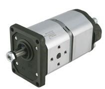 China Low Noise Wide Speed Range 2 Stage Gear Pump Customization Available wholesale