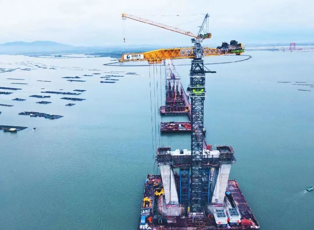 20 Years Zoomlion 6013-6tower Crane Price Good Construction Tower Crane