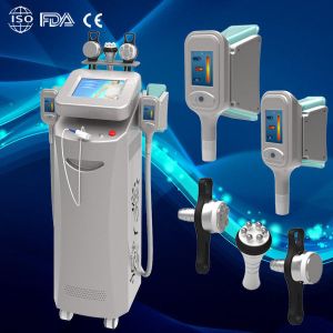 China 2014 best cryolipolysis fat freezing machine wholesale