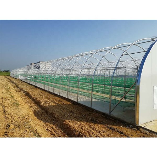 Customized Agricultural Equipment Plastic Film Cover Mushroom Green House