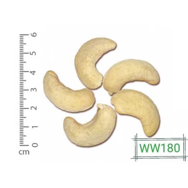 1200mm Belt Nuts Processing Machine 220V Cashew Sorting Machine