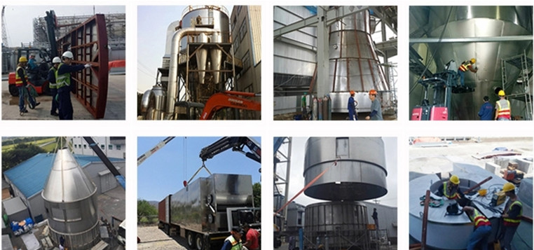 TIANHE Milk, Blueberry, Seabuckthorn Powder Spray Dryer for Foods Processing Machine