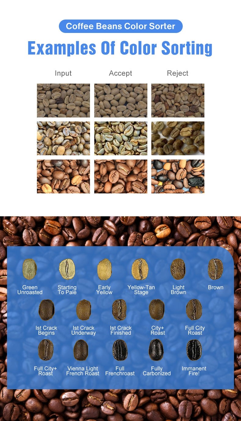 Processing AI Coffee Bean Sorter CCD Sorting Machine Color And Shape Sort