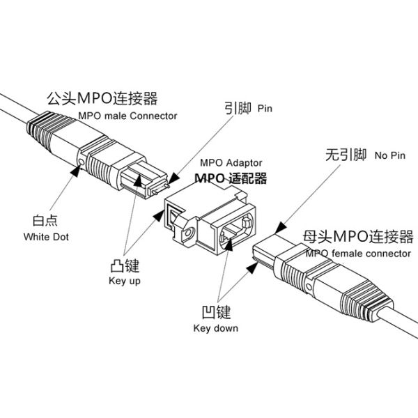 MPO MTP Cable 12 Fiber Core OM4 Magenta MPO Trunk Cable for High-Speed Networks