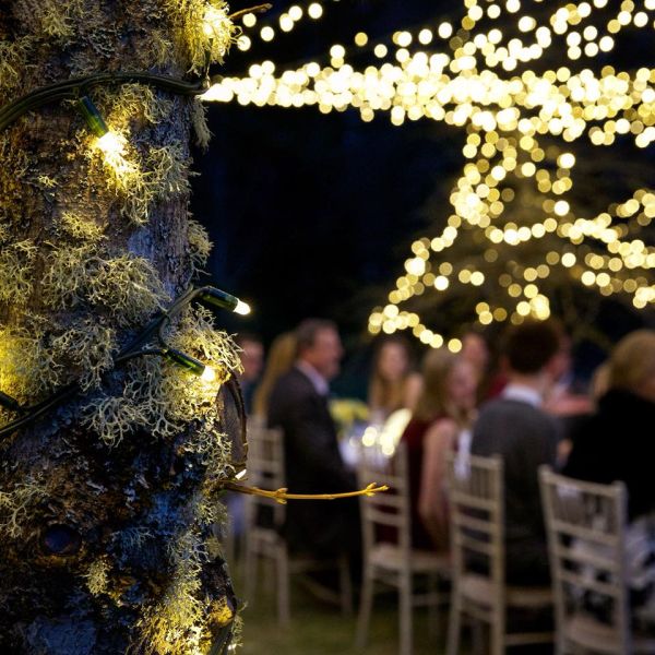 Wedding party commercial grade highest quality outdoor Christmas festival LED string light 10M 100 LED/set suppliers