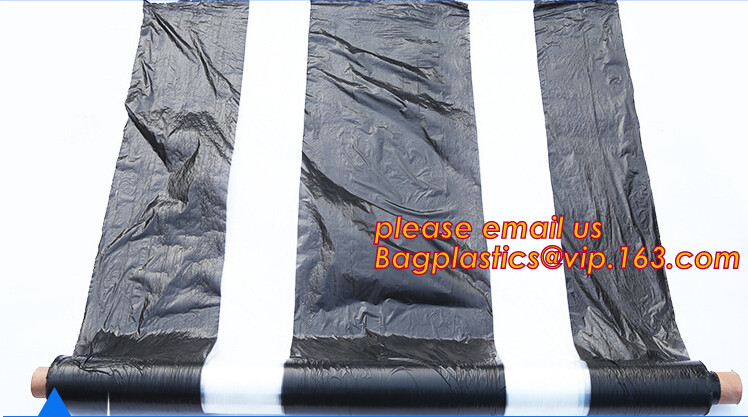 HOTICULTURAL MULCH FILM,AGRICULTURAL PE FILM,MARKET GARDENERS CLOCHE FILM,PE FILM FOR CORN,PLASTIC FILM COVER,TOMATO COV