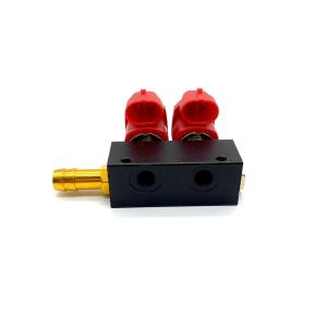 China 2 Cylinder 3Ohm CNG LPG Injector Rail Fuel Injector Rail For Autogas Conversion System wholesale