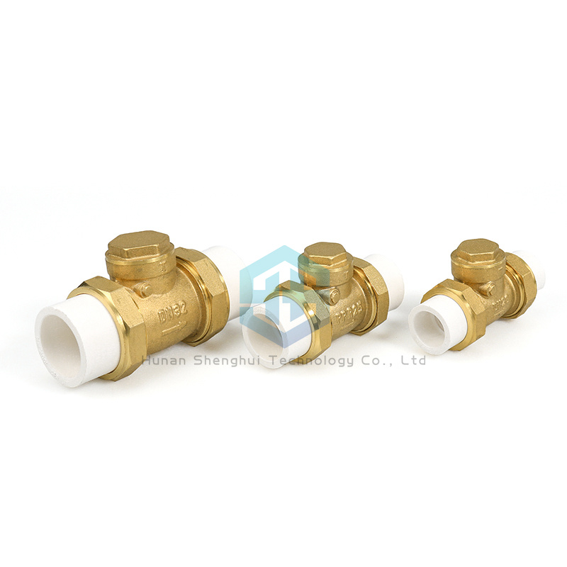Vertical PPR Double Union Non Return Valve for Water Meter Free Sample