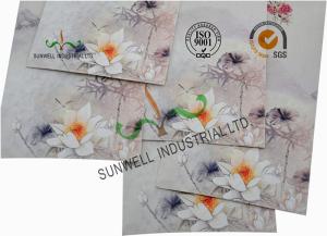 China Offset Paper Custom Printed Business Envelopes Custom Size Gold Foil Stamping wholesale