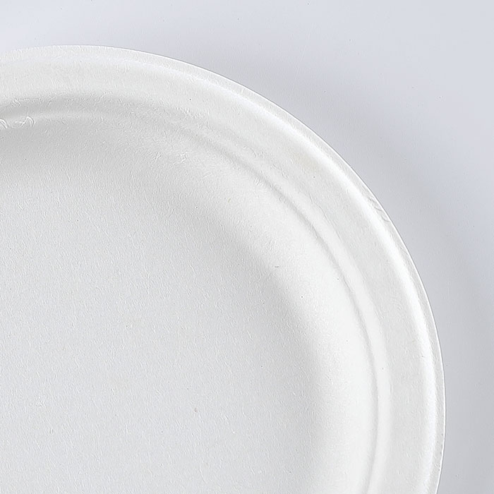 Custom eco friendly round party paper plate 9 inch biodegradable disposable sugarcane bagasse plate