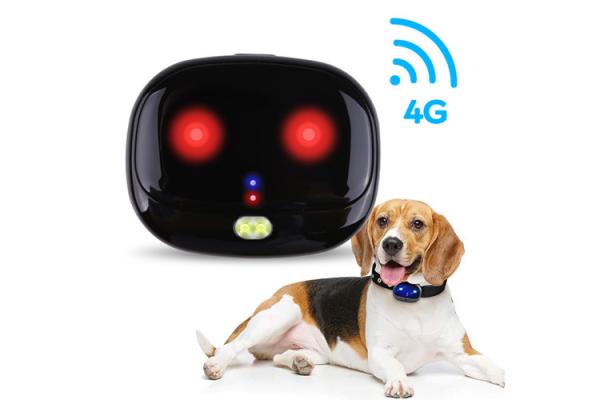 Quality Smart Mini Pet GPS Tracker Micro Positioning For Walking Dogs for sale