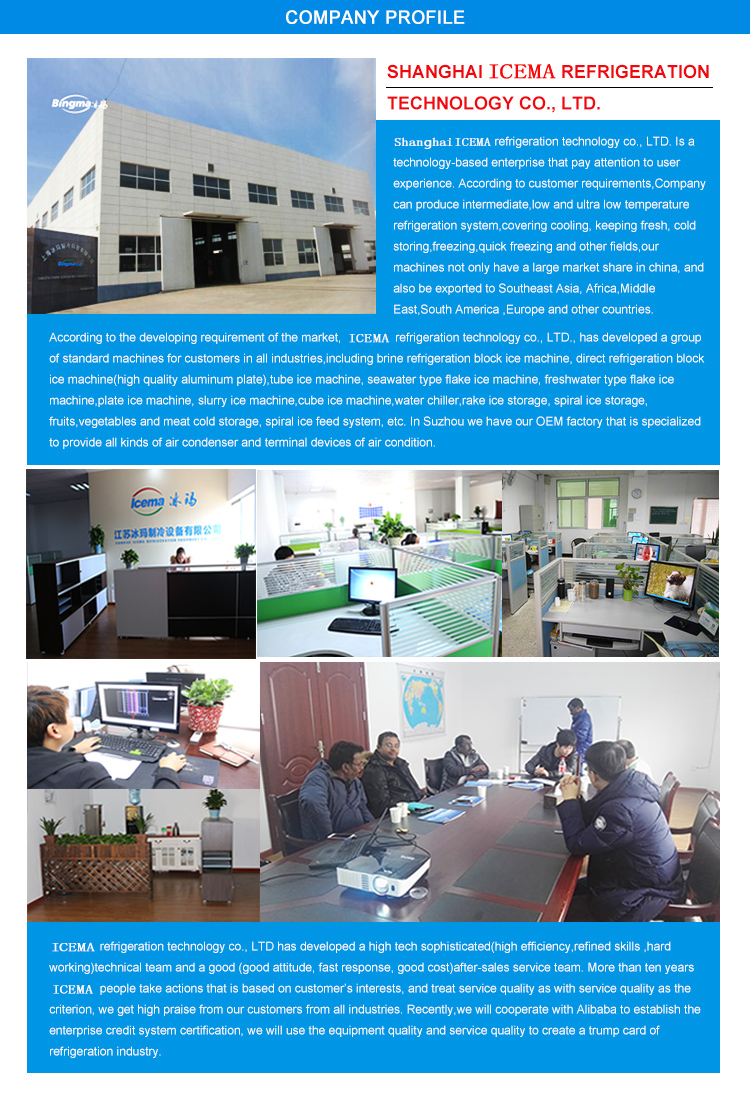 China 50 tons/day containerized snow flake ice machine for cooling with factory price