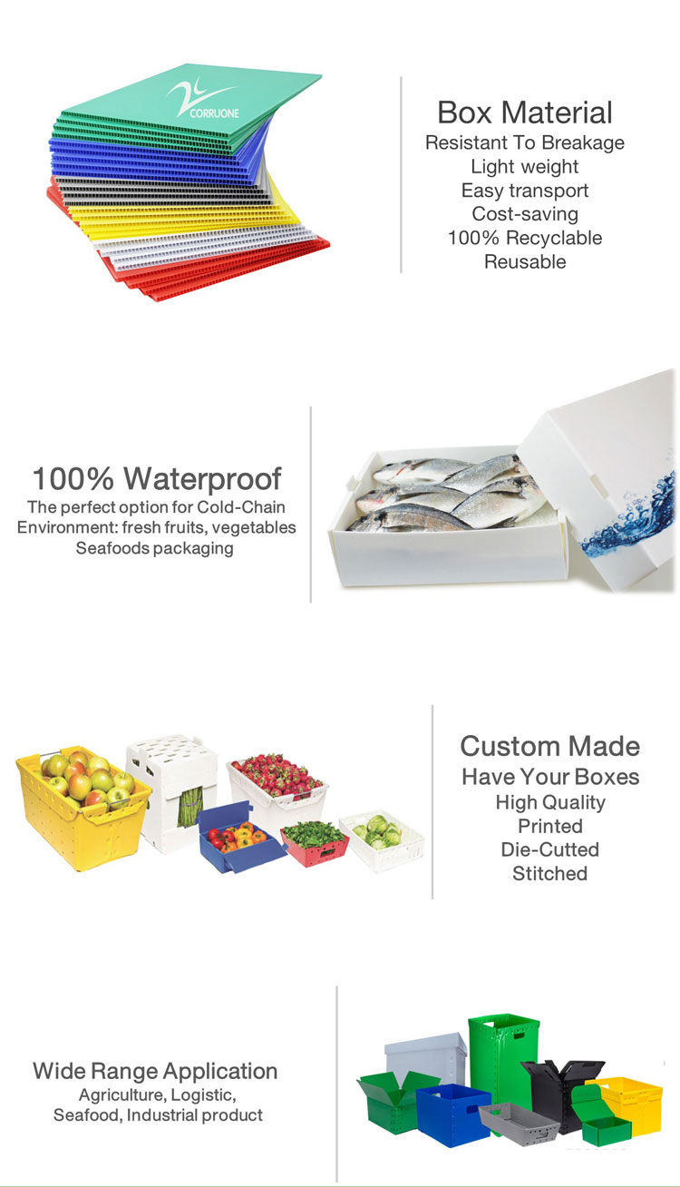 Customizable Vegetable Corrugated Boxes for Different Sizes and Requirements