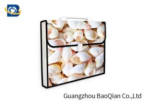 China Lenticular Plastic Envelope Folder , Expanding Document Folder 3D UV Printing wholesale