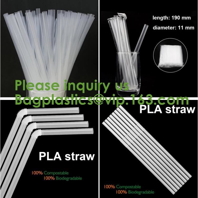 Eco friendly EN13432 Ok home compost certified 100% biodegradable compostable plastic T-shirt vest bag for shopping