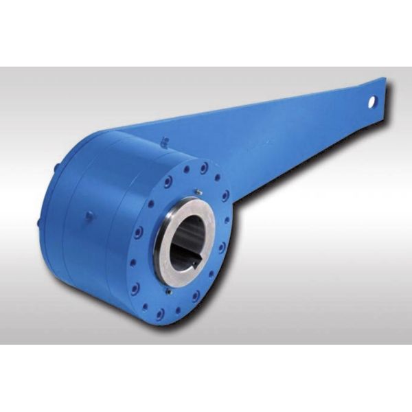 FRHM Single Directional Freewheel Sprag Backstop Bearing