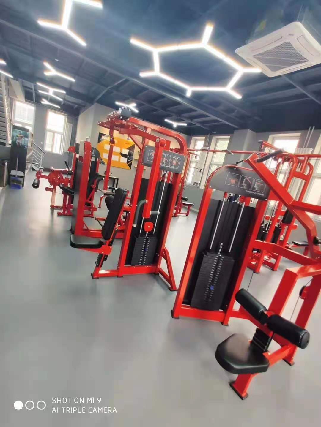 Home T Bar Row Commercial Plate Loaded Arms Back Workout Incline Level