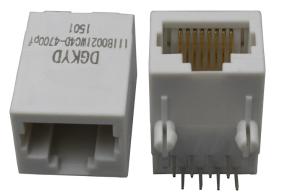 DGKYD111B002IWC4D single port RJ45 connector, 100Mbps, integrated filtering, fully plastic, without light network socket