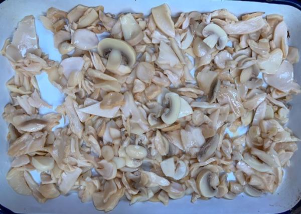 Quality Salty Steamed King Oyster Canned Mushroom 150g for sale
