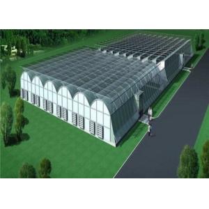 Custom Shaped Glass Seedling Greenhouse / Nursery Bed Breeding / Movable Seedbed