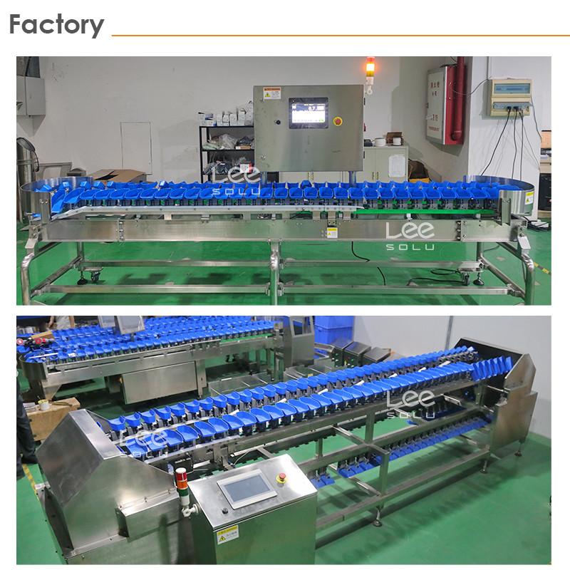 Easy Operation Tray Type Apple Lemon Peach Orange Kiwi Mango Avocado Fruit Grader Sorting Machine