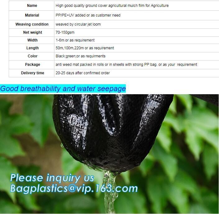 Garden Potato Planter Growing Bags PE Fabric Eco-friendly 7Gallon 10Gallon,potato planter with 7/10 gallon potato plante