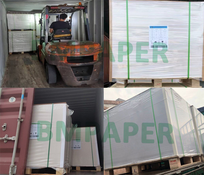 Card Paper