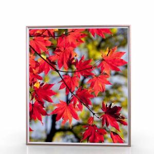 China 43 Inch Wifi Cloud Digital Picture Frame LCD Signage Android Photo Frame wholesale