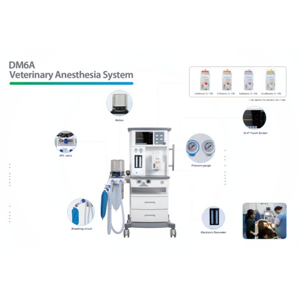 DM6A Veterinary Anesthesia System For Dog Cat Small Animal