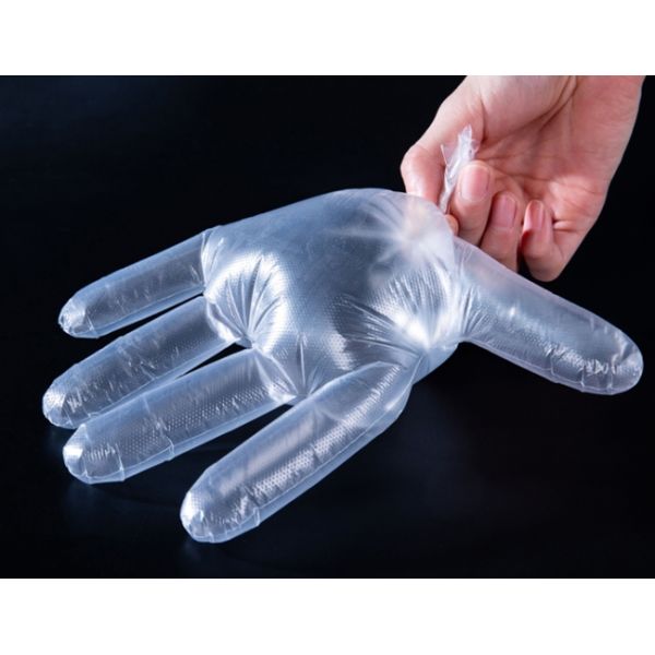 PE Food Grade Disposable Gloves