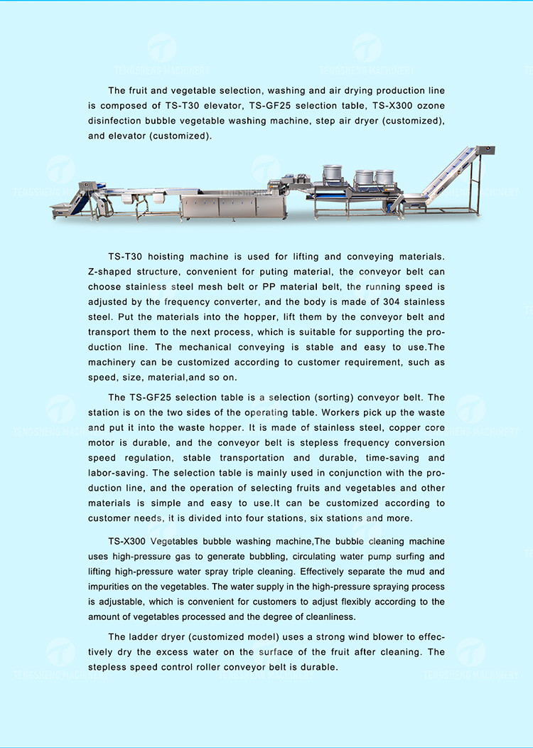 Automatic Fruit And Vegetable Processing Line Selection Washing Drying