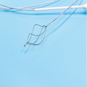 China Round Stone Basket with Flexible Wire Design wholesale