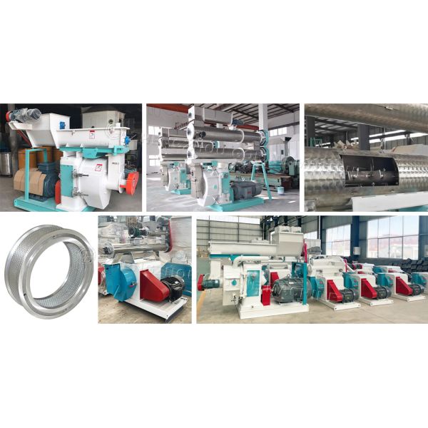 Ring Die Type Extrusion Organic Fertilizer Granulator Machine