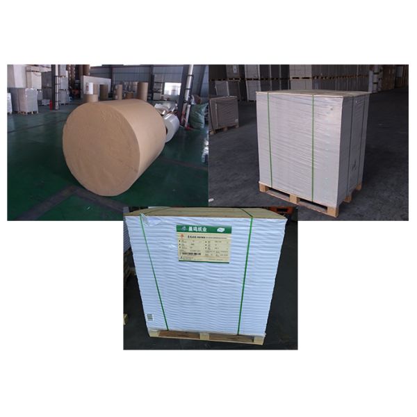 Single Side Coating Large White Card Sheets Triplex Board Paper With White Back