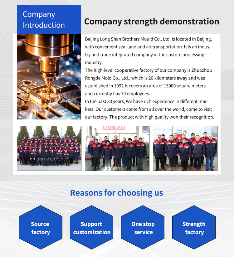 Professional Custom Die Casting Mold Single Cavity or Multiple Cavity Tolerance 0.01mm