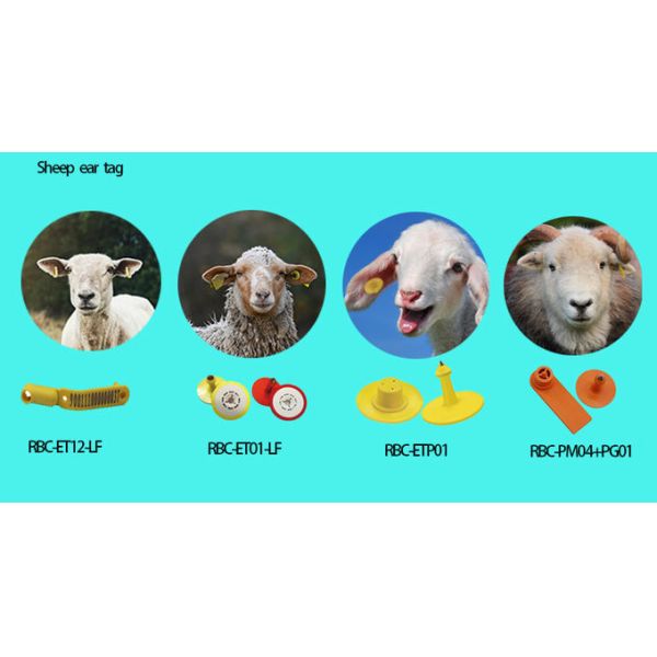 Two Sided TPU Custom Sheep Ear Tags For Identification