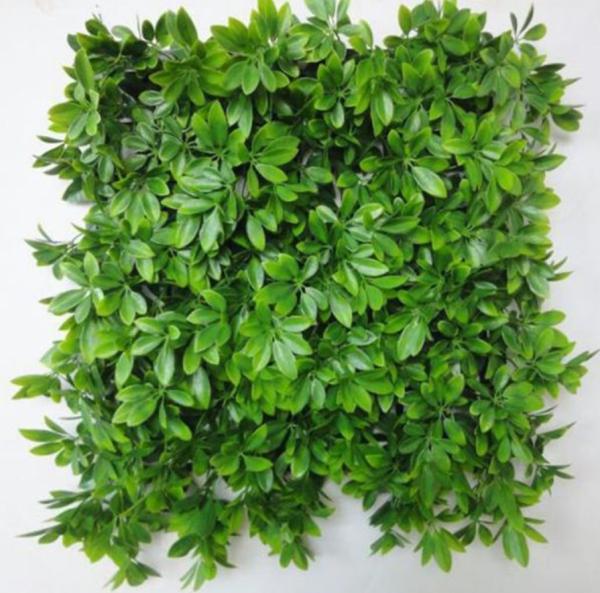 Quality Schools Parks Playgrounds Outdoor Artificial Wall Grass Easy To Install for sale