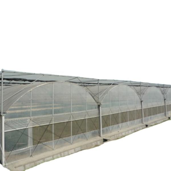 Quality Double Layer PO Greenhouse Tunnel for Precise Temperature Control for sale