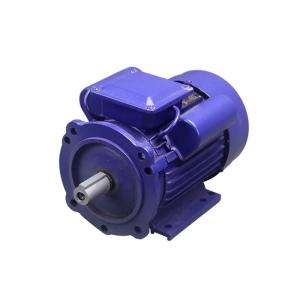 China 1 HP 4 Pole Single Phase Induction Motor 1440 Rpm wholesale