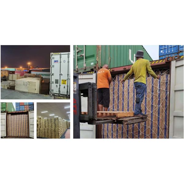 Best price cervical spatula Medical Cervical Smear Disposable sampling spoon