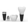 Safe Reliable Artificial Root Implant Long Service Life Natural Dental Implant for sale